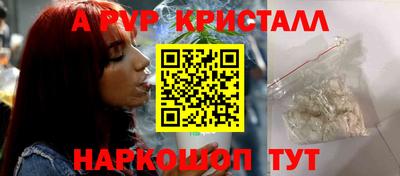 spice Кунгур