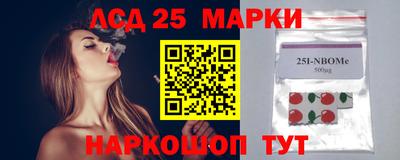 гашик Кулебаки