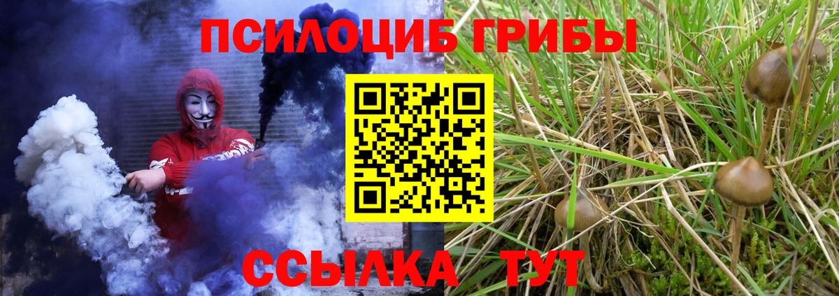 Галлюциногенные грибы Cubensis  Галлюциногенные грибы прущие грибы  Коломна  Вход с VPN 